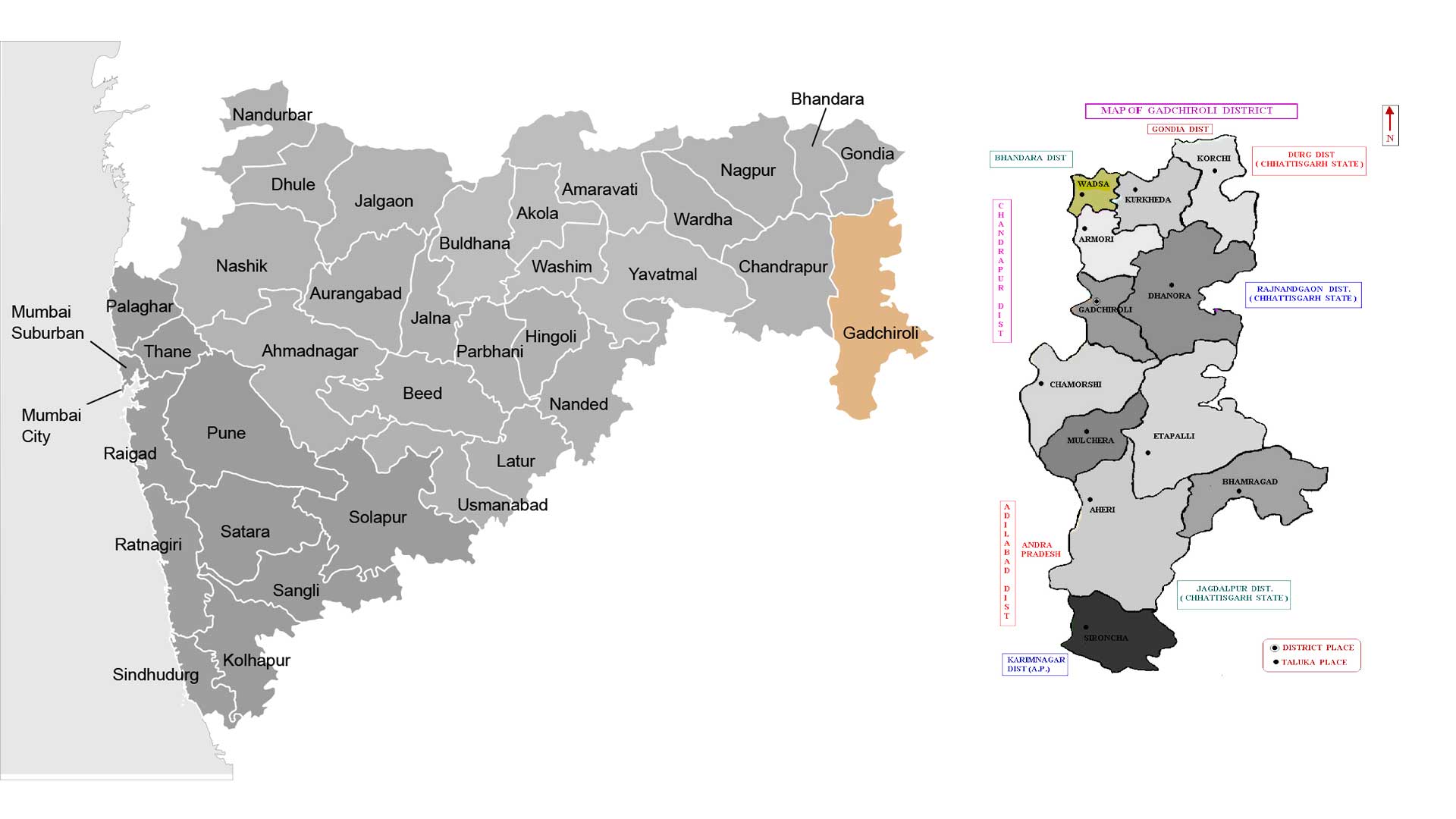 wadsa-desaiganj-map