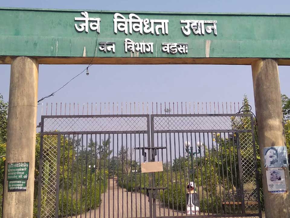 वड़सा-येथील-जैव